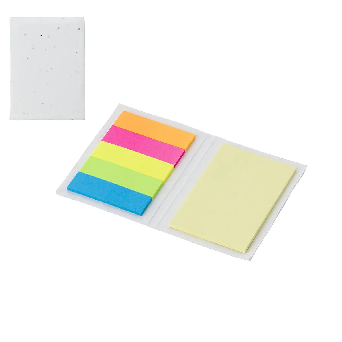 Set Memo Con Carta Da Seme