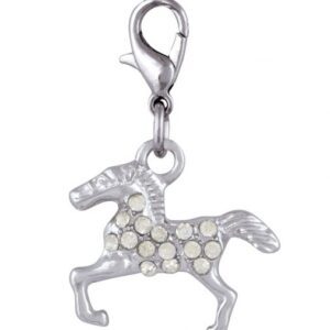 CHARM – CAVALLINO