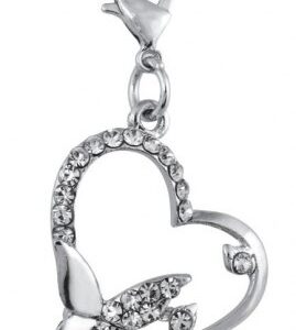 CHARM – CUORE