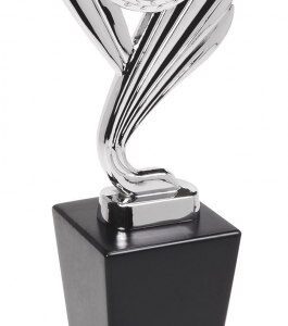 TROFEO EMISFERO