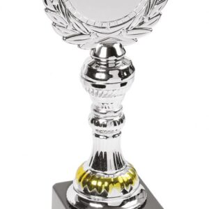 TROFEO DISCO CON ALLORO H 270 MM
