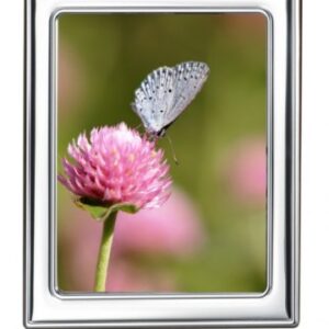 PORTAFOTO “OLIVIA” – FOTO 130×180 mm