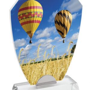 TROFEO VETRO X SUBLIMAZIONE 190x150x8
