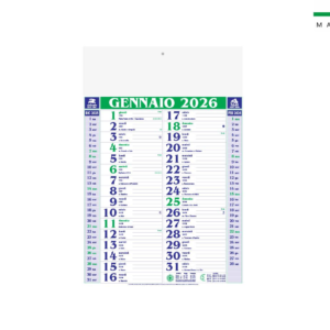 Calendario mensile OLANDESE MEDIUM 12 fogli