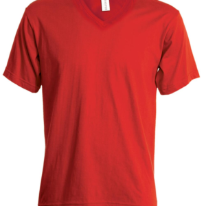 V-NECK LADY T-SHIRTCOLLO V DONNA PAYPER