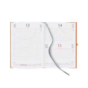 0141 AGENDA GIORNALIERA 15X21