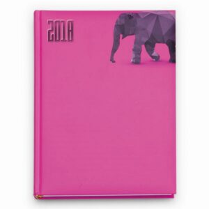0156 – AGENDA GIORNALIERA DIARY FLUO