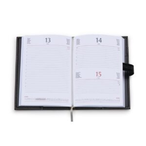 0211 AGENDA GIORNALIERA 15X21