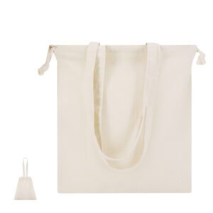 Panthus – Borsa