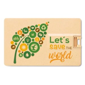 Chiavetta USB formato carta di credito paglia/PP 1-64GB.