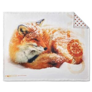 Coperta in pile di flanella a colori (280 g/m²).