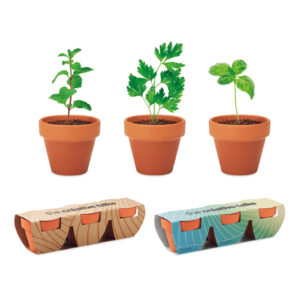 Set di tre vasi di terracotta da Ø5 cm con semi a scelta in una confezione personalizzata.