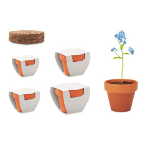 Vaso in terracotta (disponibile in 4 misure) con seme a scelta e confezione personalizzata.