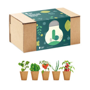Scatola per coltivare con 5 vasi biodegradabili.