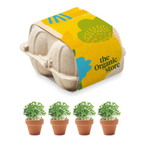 Kit di coltivazione: set di 4 vasi di terracotta in un vassoio di cartone.