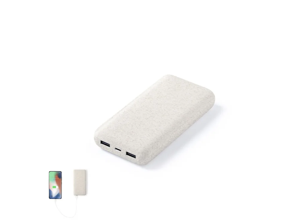 Power Bank Golblum