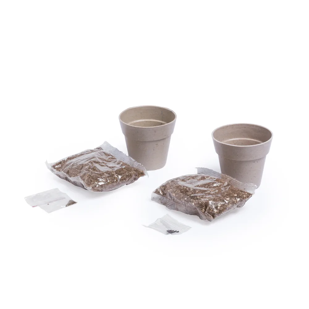 Set Vaso Nertel