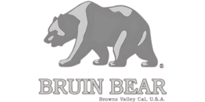 Bruin Bear